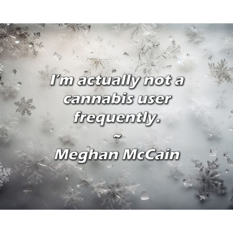 Citation artistique «Je ne suis pas souvent un utilisateur». Toile tendue par Meghan McCain Gallery, H 33 po x l 48 po