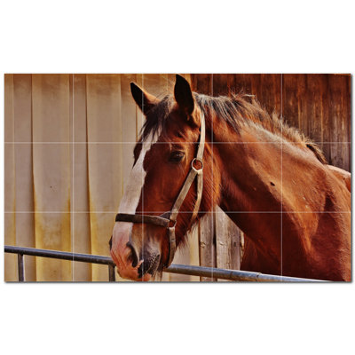 Murale en céramique satinée Horse Photo 6 po x 6 po