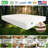Colva Mattress - Organic Latex Coconut Coir 10" Medium 4Layered Comfortable Sleep Bed Dust Free-111992521