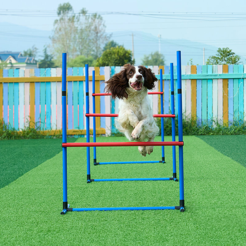 Dog Agility Training Equipment 4 PCS Set Hurdles and Jump Ring Obstacle