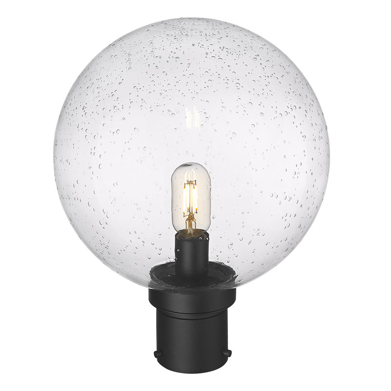 Heber Lantern Head, Seeded