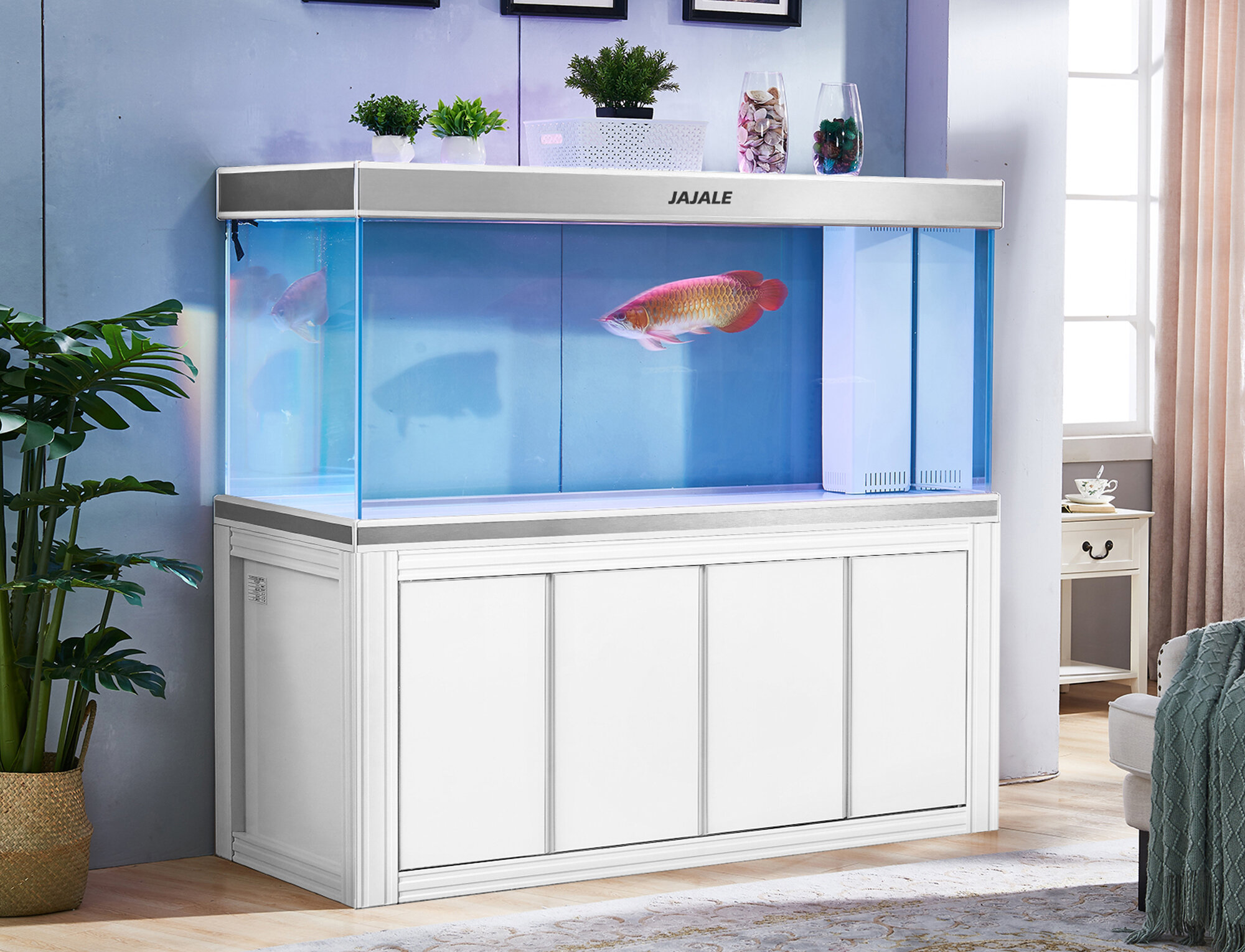 AQUA DREAM Rectangle Aquarium Tank | Wayfair