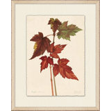 Maple Leaves 1 Painting