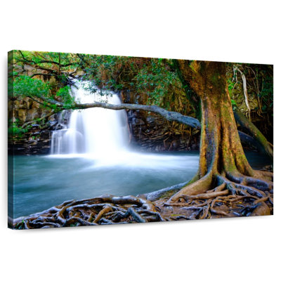 Cascade de l'ancien arbre d'Alvord Maui