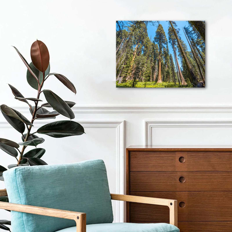 Wrapped Canvas Print