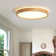 Damiyon 1-Light 30cm Modern Dimmable LED Energy-Saving Ceiling Light Round Flush Mount Lamp
