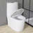 One Piece Toilet With Comfort Height And Soft-Closing Seat, Poweful Dual Flush 1/1.6 GPF,  Standard Toilet For Bathroom, Ceramic Nano-Glazed Surface, Full Skirted