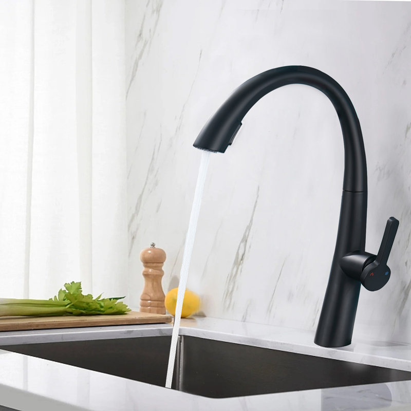 CERYPSA Pull Out Kitchen Faucet, Matte