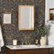 Marlowe Medicine Cabinet, Recess and Surface Mount