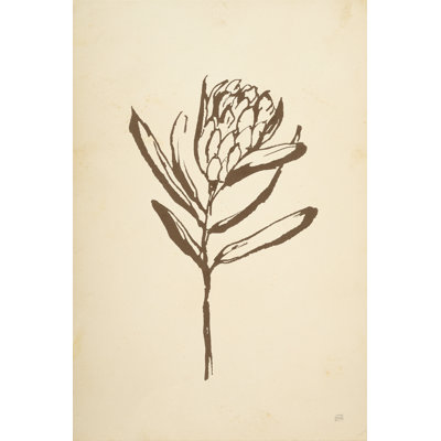 " Vintage Line Protea I " by Chris Paschke