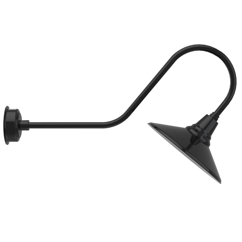 Luminaire de grange d’extérieur à del Albali, H 12 po x l 16 po x P 36 po, Noir
