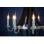 Madrona 8 - Light Candle Style Chandelier