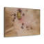 No Frame Print on Canvas-1942865353