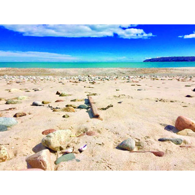Coquillages dans le sable - photographie