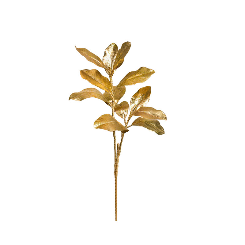 Primrue 37 po Magnolia, paquet de 6
