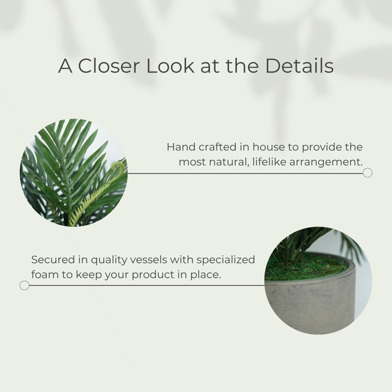 Faux Plant