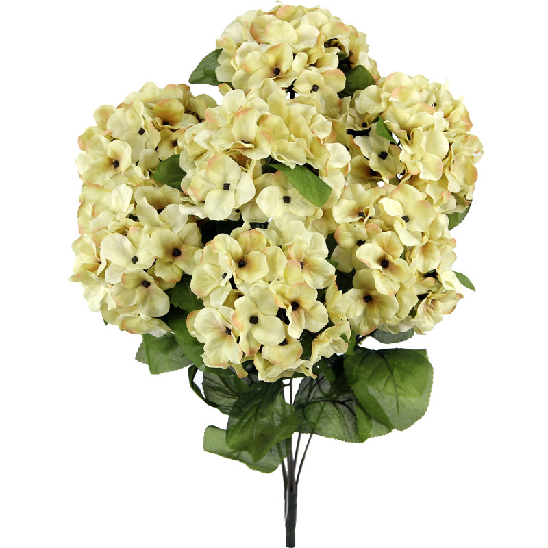Hydrangea Arrangement, Vanilla