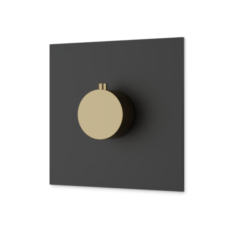 Thermostatic Valve Trim Kit, R+S, Satin Brass Black