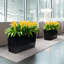Cararo Pot Planter-16493109