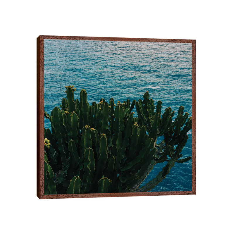 Amalfi Coast Cactus II by Bethany Young - Print on Canvas, 66.04cm H x 66.04cm W x 3.81cm D, Classic Brown Wood Framed