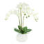 Silk Orchid Faux Floral in Vase