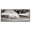 «Surfing Reef Break», art de la giclée sur cadre gris par Noah Bay