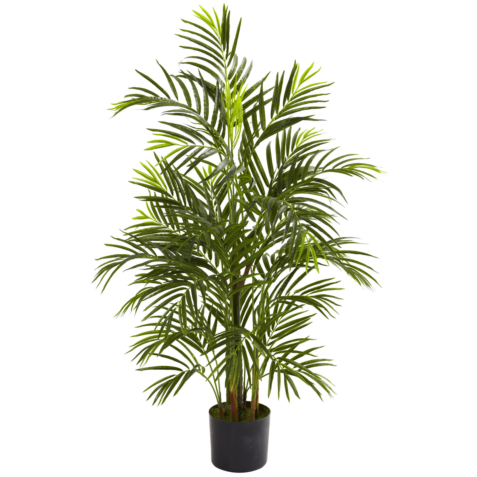 Sommer 78" Tree in Pot, 42" H x 28" W x 28" D