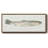 Fresh Catch III- Framed Canvas