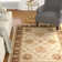 Klose Performance Oriental Rug
