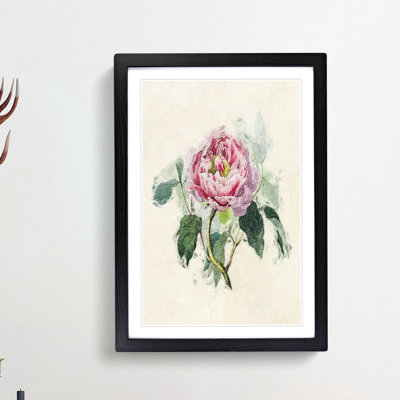 Illustration of a Pink Peony - Picture Frame Painting Print
