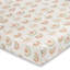 Parker Fitted Crib Sheet (Rainbow)