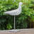 Danaria Figurines & Sculptures