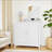 White Double Door Storage Cabinet