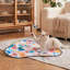 Rechargeable Interactive Cat Toy