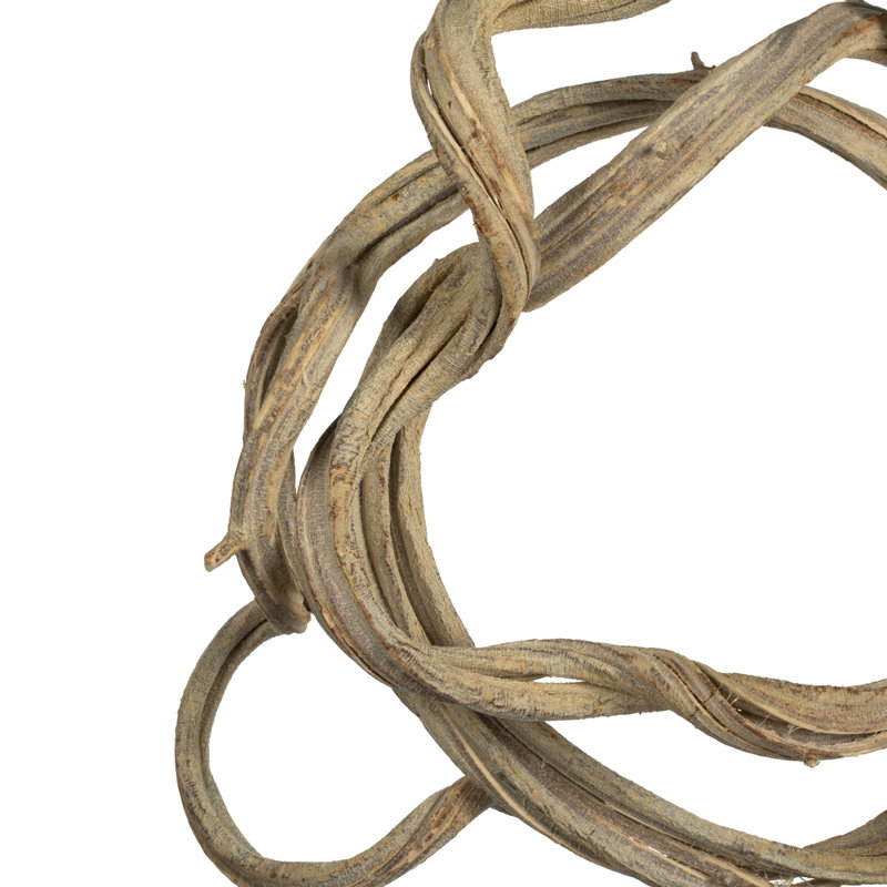 13 po Vigne enroulée, séchée, Javellisé