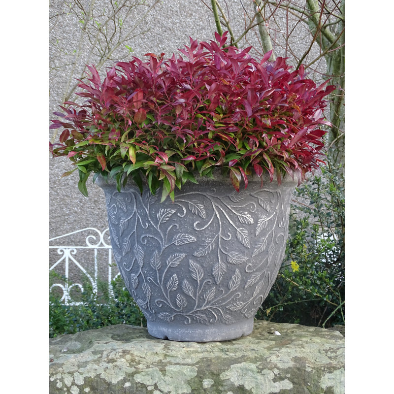 Montanez Pot Planter, 38 cm H X 50 cm W x 50 cm D