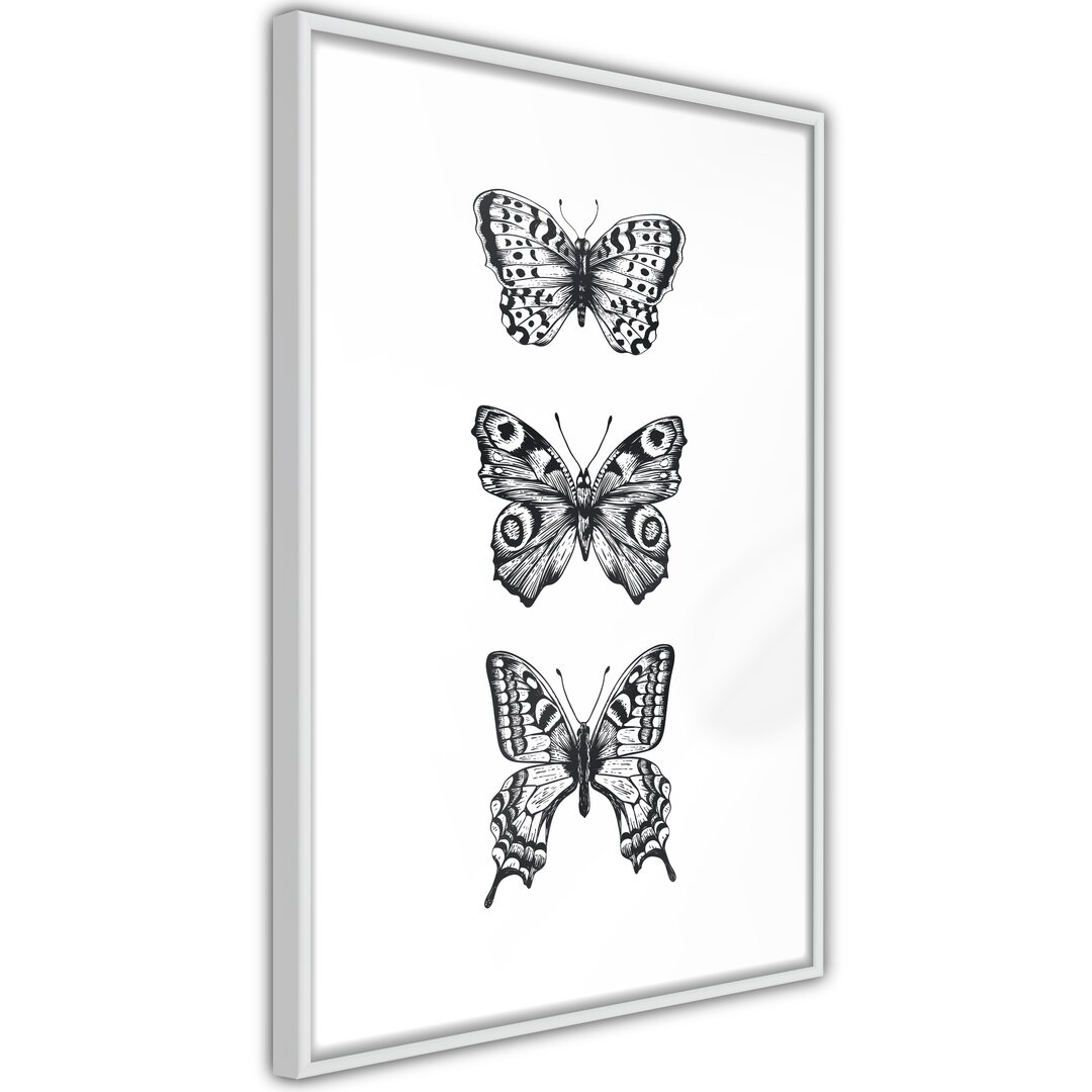 Gerahmtes Poster Schmetterling Kollektion III