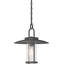 Luminaire suspendu suspendu 1 lumière Megerle pour l'intérieur ou l'extérieur avec abat-jour cylindrique en verre transparent