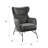 Rainer Upholstered Accent Chair, Set Of 2-1020255025