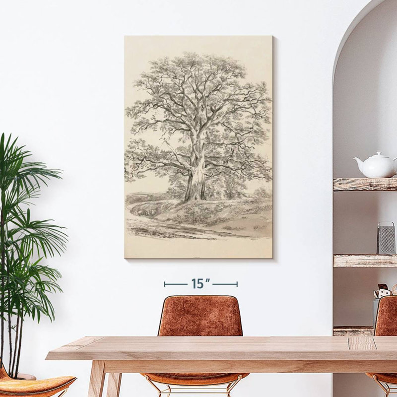 Un grand chêne, H 45 po x l 30 po