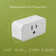 Smart Home 15 Amp 110-Volt Connection Type B Plug Connector (1-Pack)