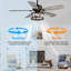 52'' Monson 5-Blade Crystal Indoor Ceiling Fan With Remote Control and Light Kit Included-1598316690