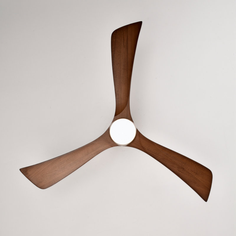 Kamrie 18.1'' Ceiling Fan with LED Lights