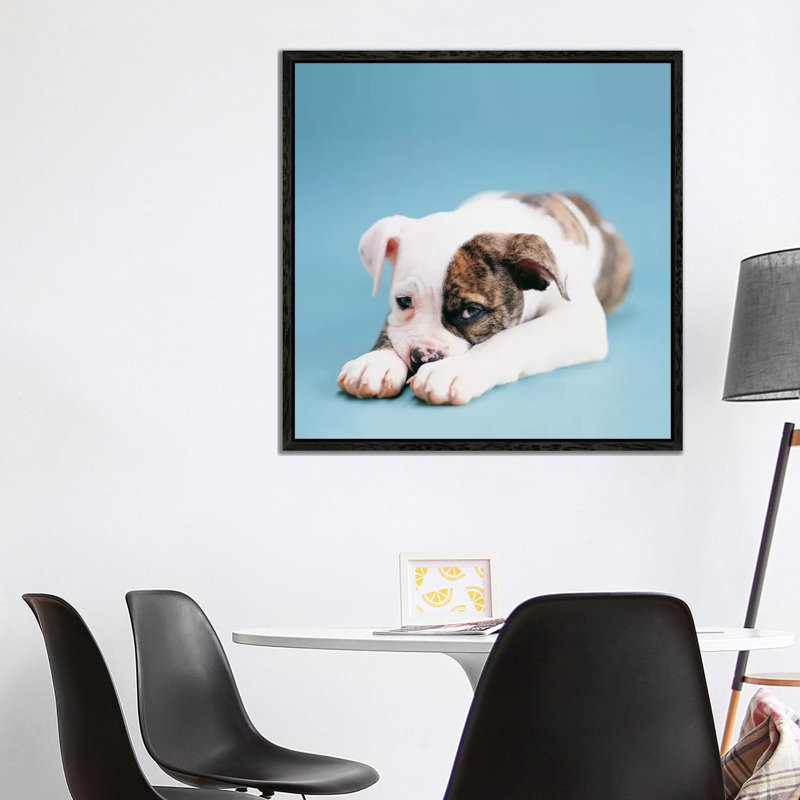 Shadow by Rachael Hale - Print on Canvas, 93.98 cm H x 93.98 cm W, Black Framed
