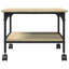 38cm H x 50cm W Printer Stand-1913564394