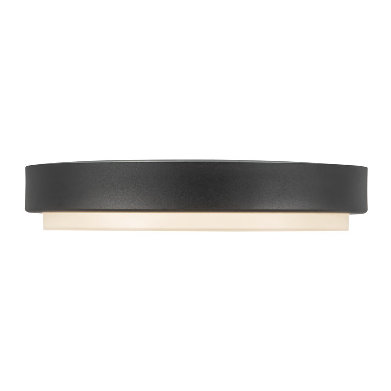 Bailey 9-in Black dimmable LED Outdoor Ceiling Light, Matte Black, Matte Black