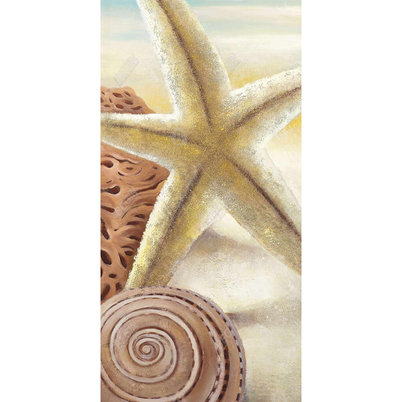 Étoile de mer et coquillages sur toile de plage | Décoration de voyage