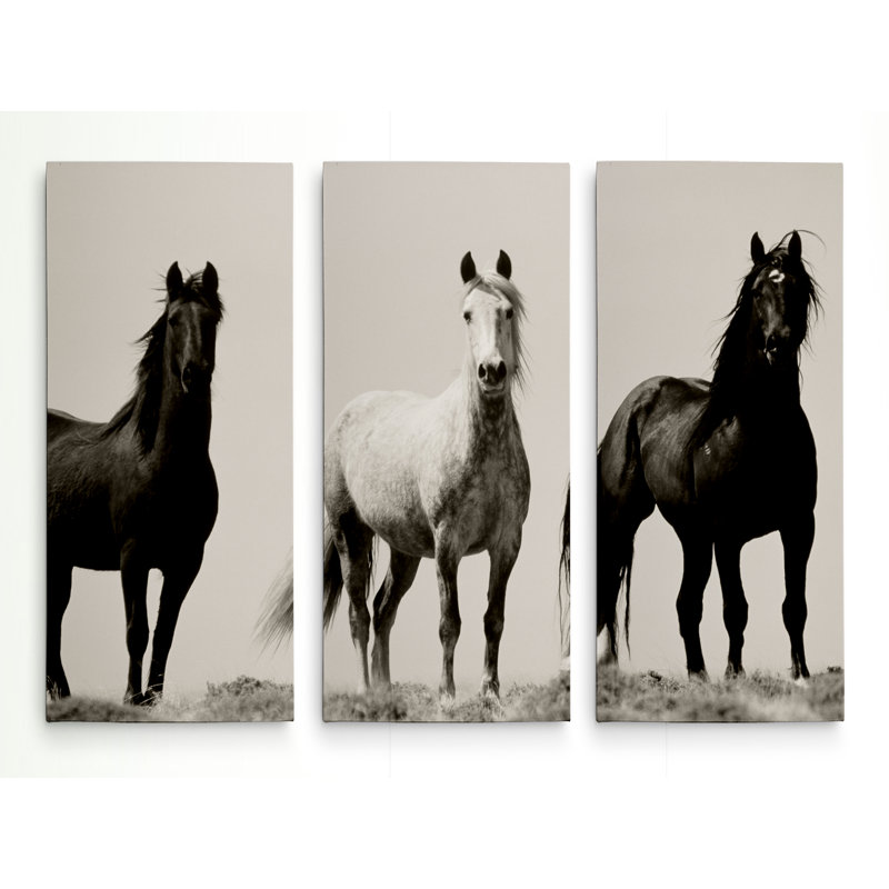 Wild Stallions - Impression sur toile tendue, H 40 po x l 60 po x P 1,5 po