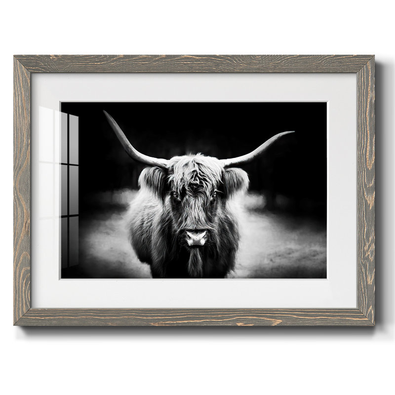 Reproduction photographique Highland C Best, H 26 po x l 38 po, Gris