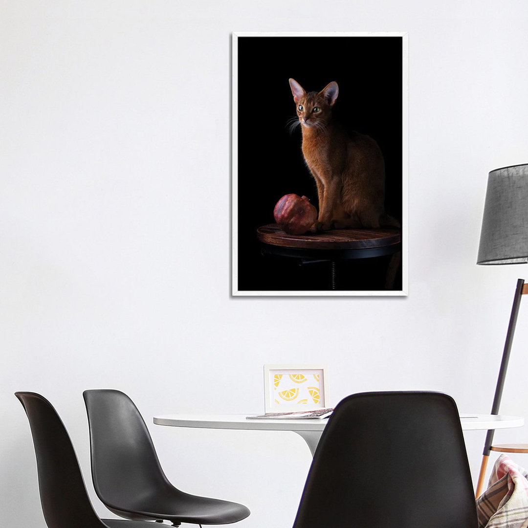 Abessinierkatze und Granatapfel von Nailia Schwarz - Galerie-umwickelte Leinwand Giclée auf Leinwand